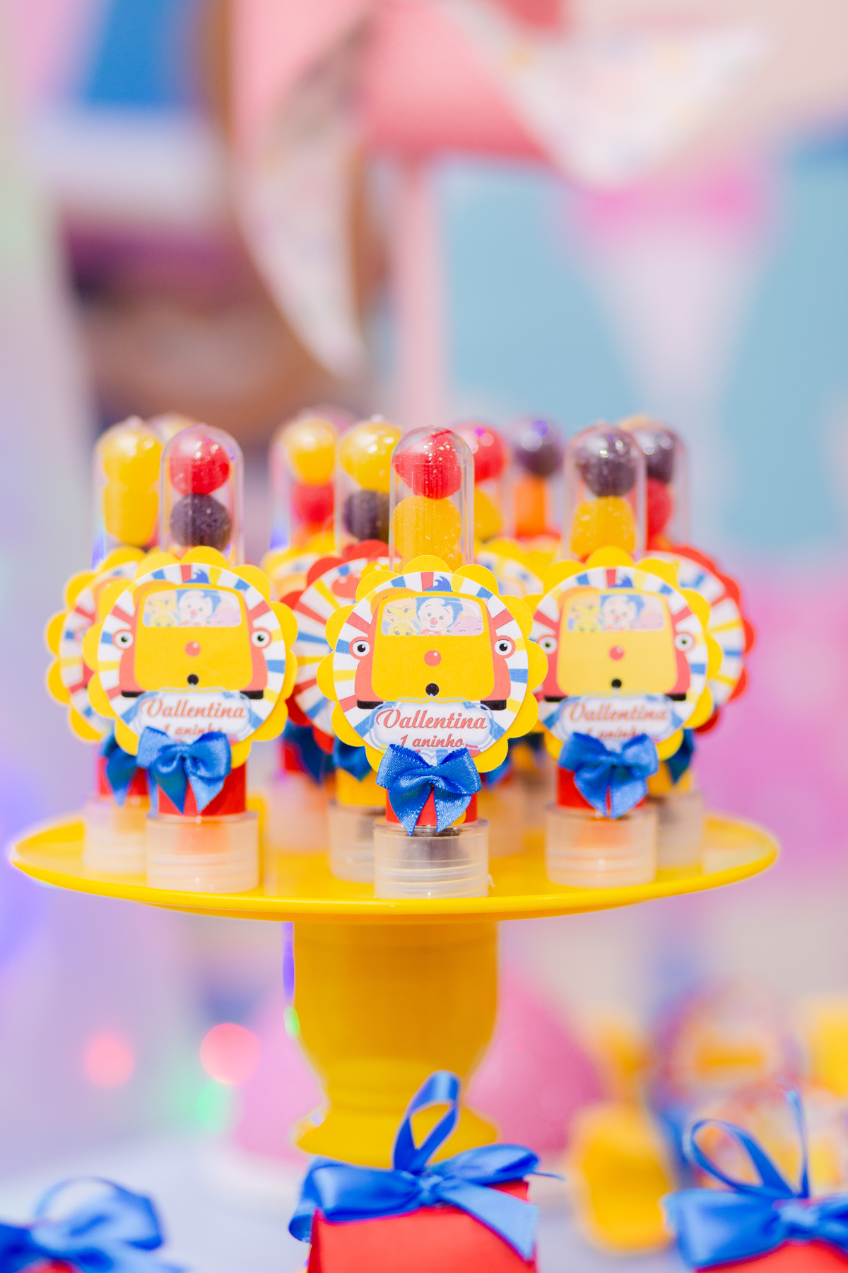 Festa Infantil - Fotografia de Festa - 1 ano da Vallentina