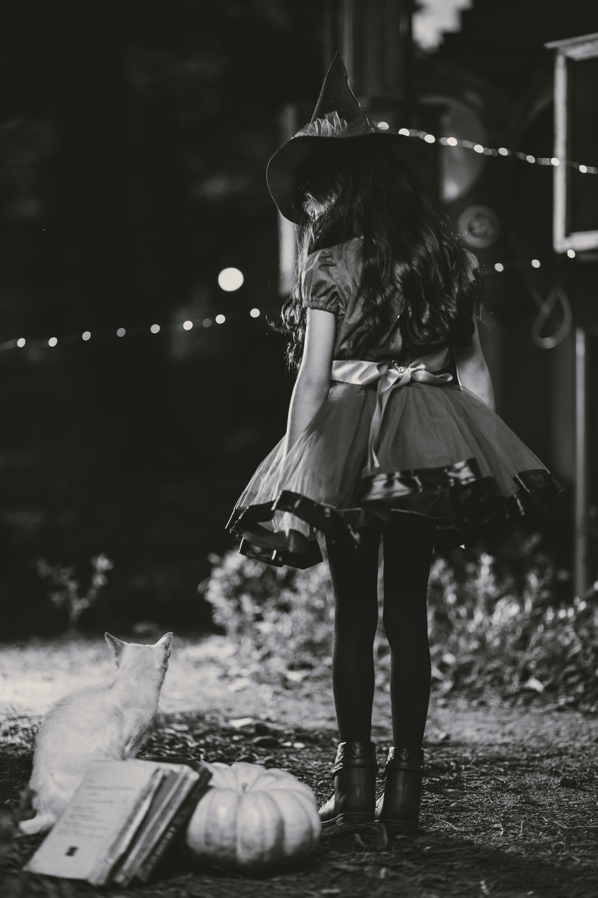 Ensaio de Halloween - Halloween - Ensaio externo