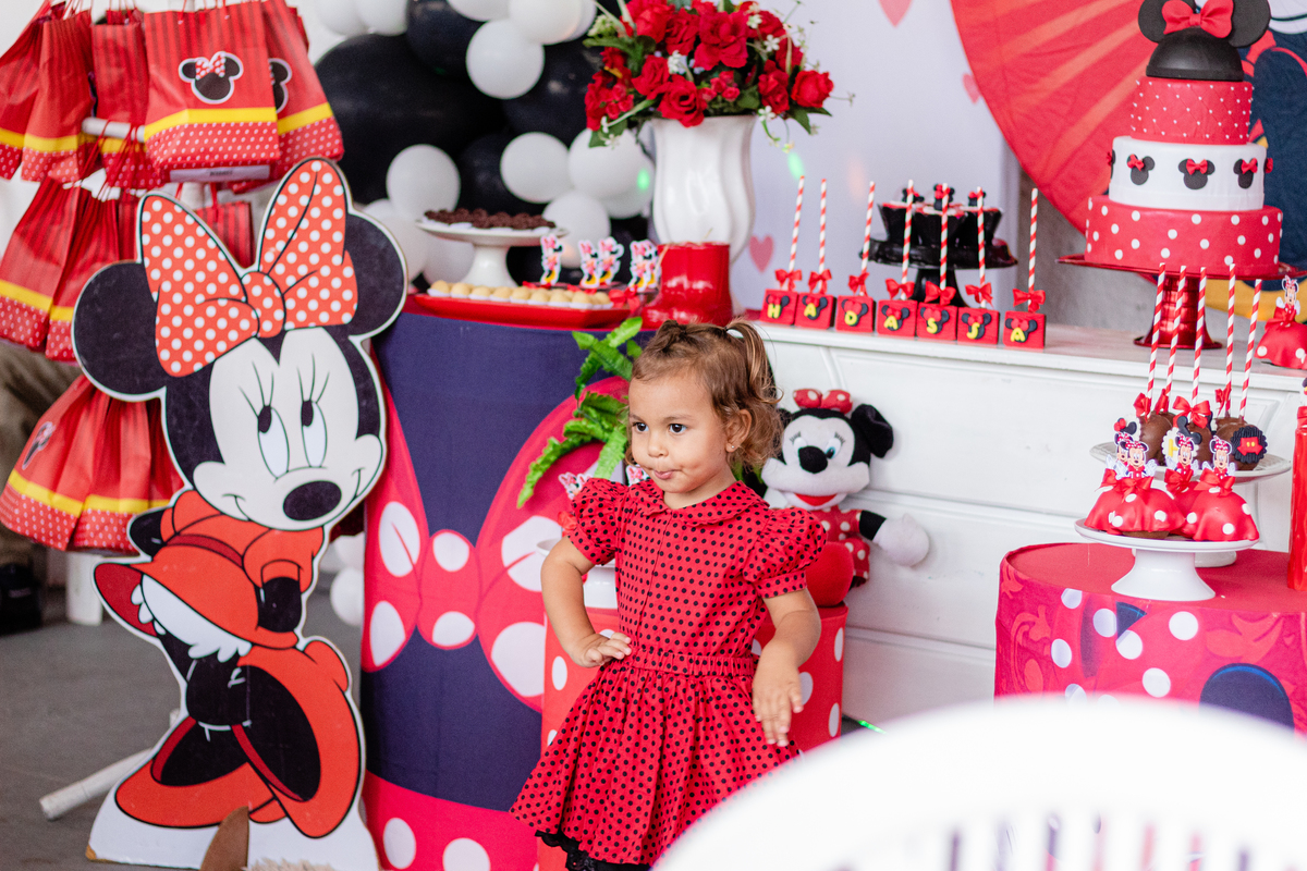 Festa Infantil - 1 ano Hadassa