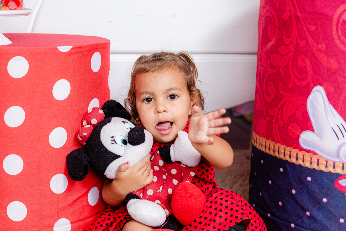 Festa Infantil - 1 ano Hadassa