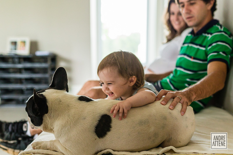 Menina brincando com cachorro fotografada em ensaio de família de Andre Attene