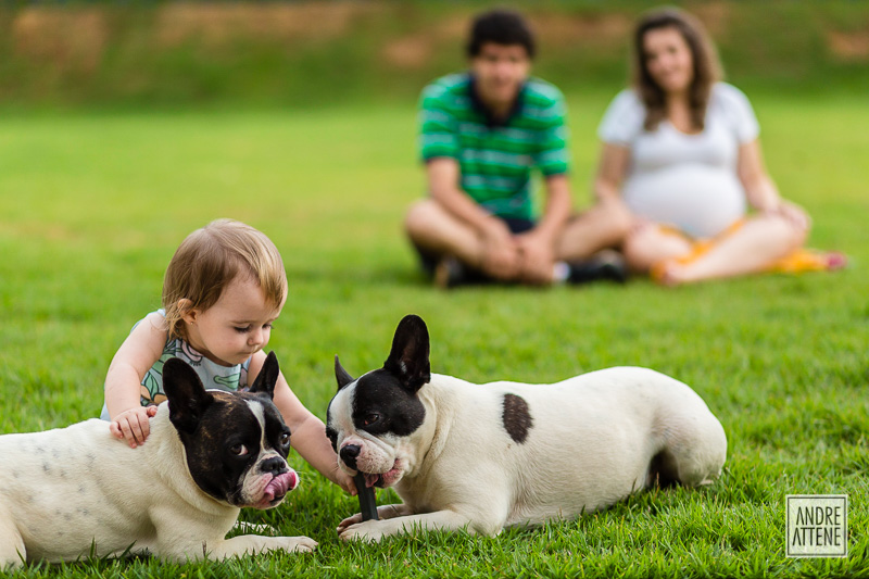 menina brincando com cachorrinhos em ensaio de família fotografado por Andre Attene