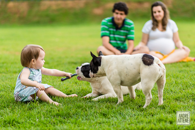 menina brincando com cachorrinhos em ensaio de família