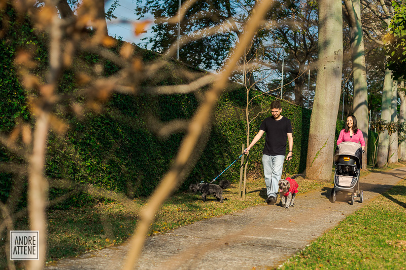 Mari, Peter e Ricardo passeando com os cachorros em fotografia de Andre Attene