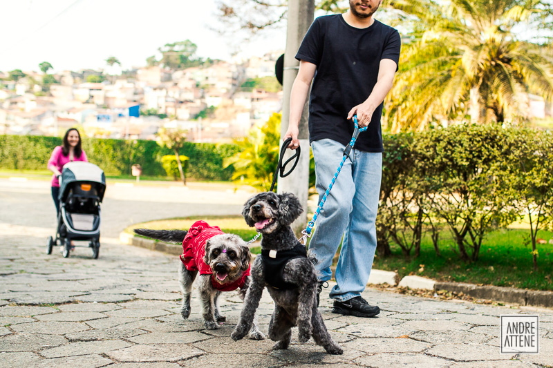 fotografia de família mostrando pets felizes