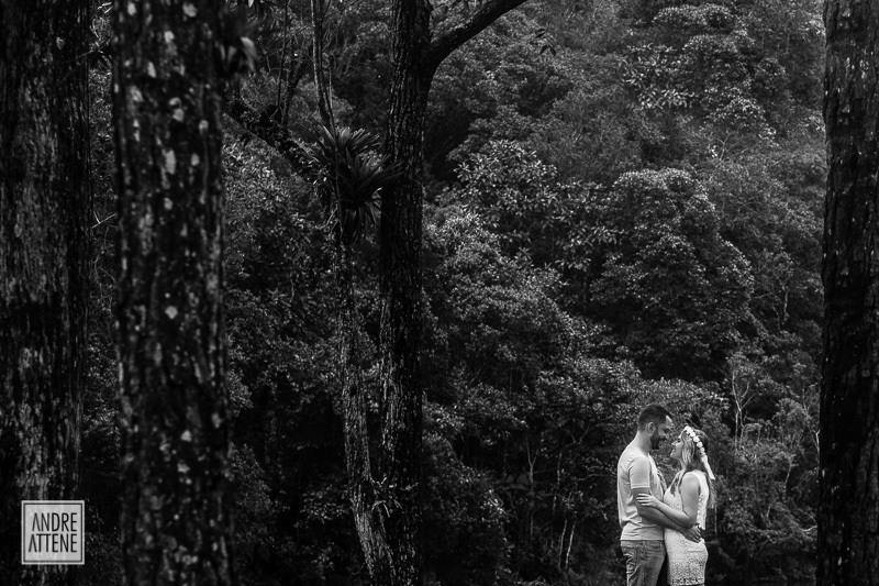 com grandes eucaliptos em volta, casalm fotografa seu pre wedding á medida em que se aproxima da data de seu casamento