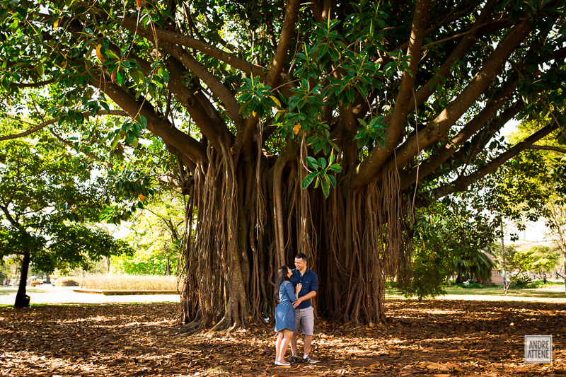 Amara e Willian, ensaio pré casamento, Parque do Ibirapuera, São Paulo - SP