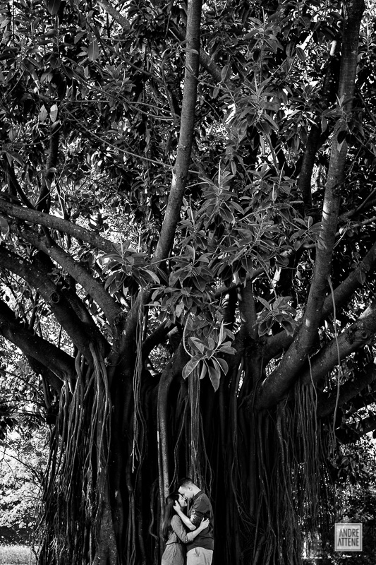 Amara e Willian, ensaio pré casamento, Parque do Ibirapuera, São Paulo - SP