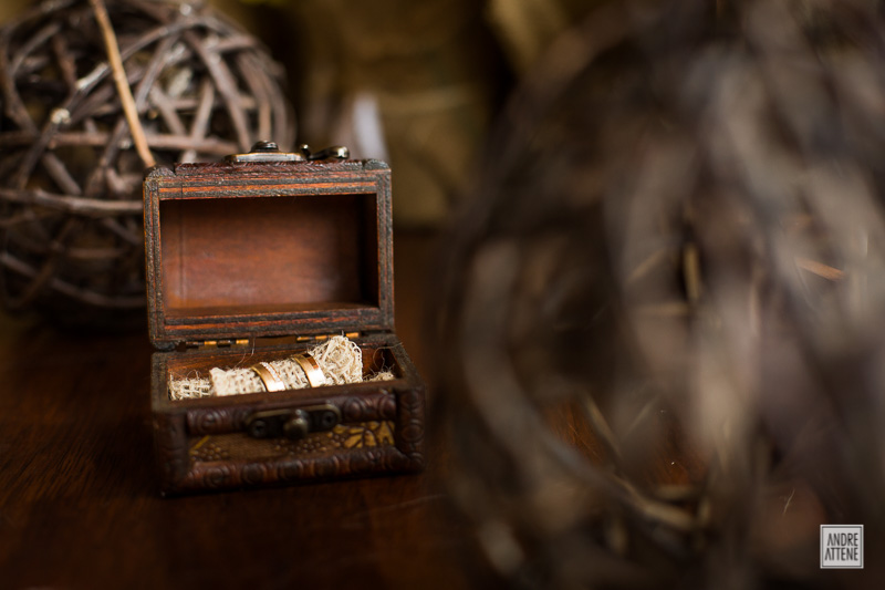 Livia e Andre, casamento, Espaço Cantareira, Mairiporã - SP