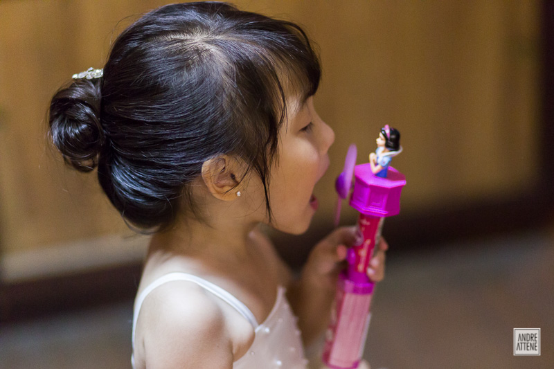 Fran e Minu, casamento coreano, São Paulo - SP