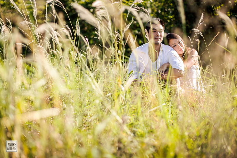 Fabi e Matheu, ensaio pré casamento, Fazenda Santa Margarida, São Manuel - SP