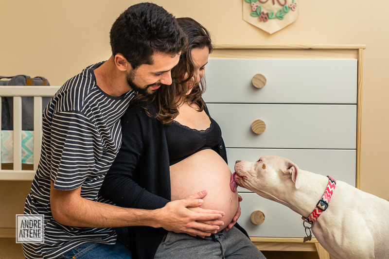 a cachorrinha da família também está feliz com a chegada da bebê em fotografia e gestante