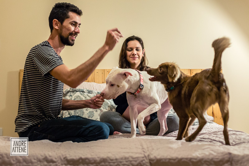 papai, mamãe gestante e os pets felizes esperando o bebê chegar