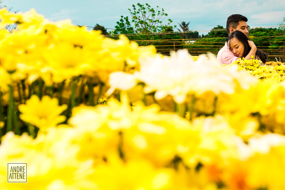 fotografia de Andre Attene mostrando a noiva descansando nos braços do noivo sentindo o cheiro das flores em Holambra - SP durante prewedding