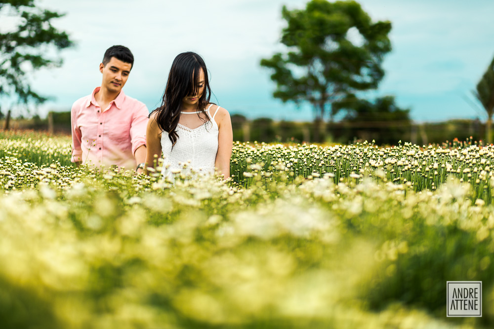 casal caminhando no campo de flores em Holambra fotografados por Andre Attene SP