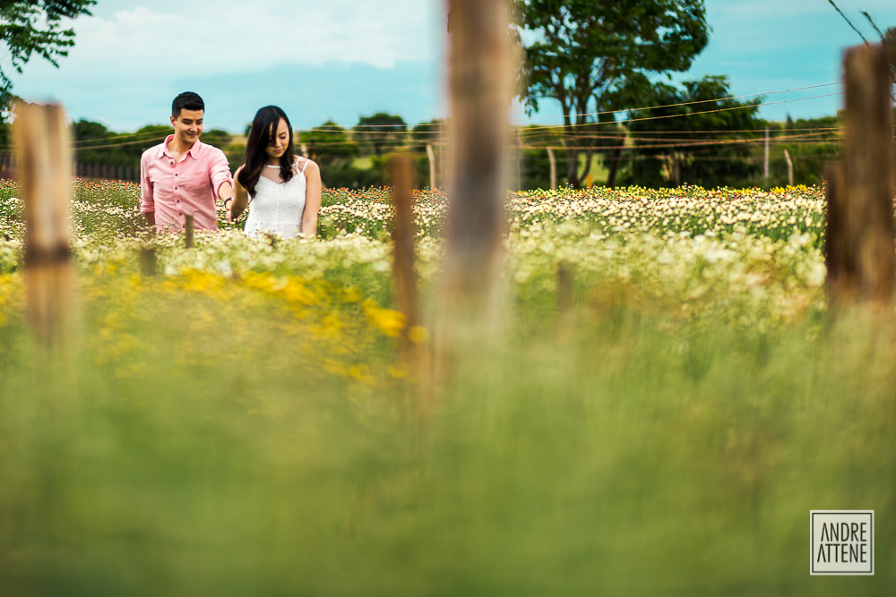 casal entre as flores em Holambra fotografados por Andre Attene SP