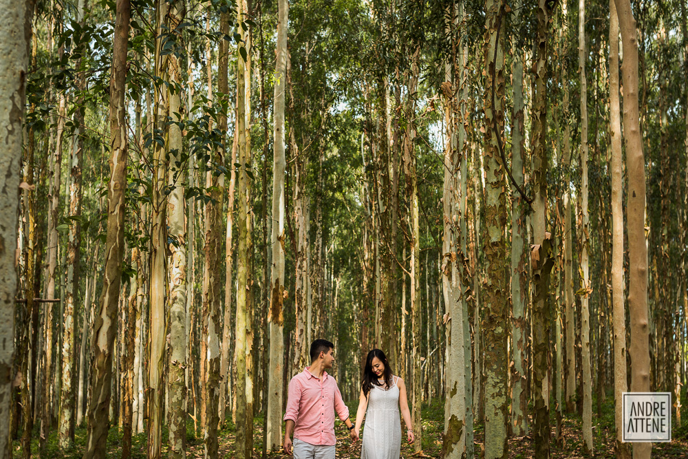 casal passeando em campo de eucaliptos fotografado por Andre Attene fotógrafo de casamentos em SP