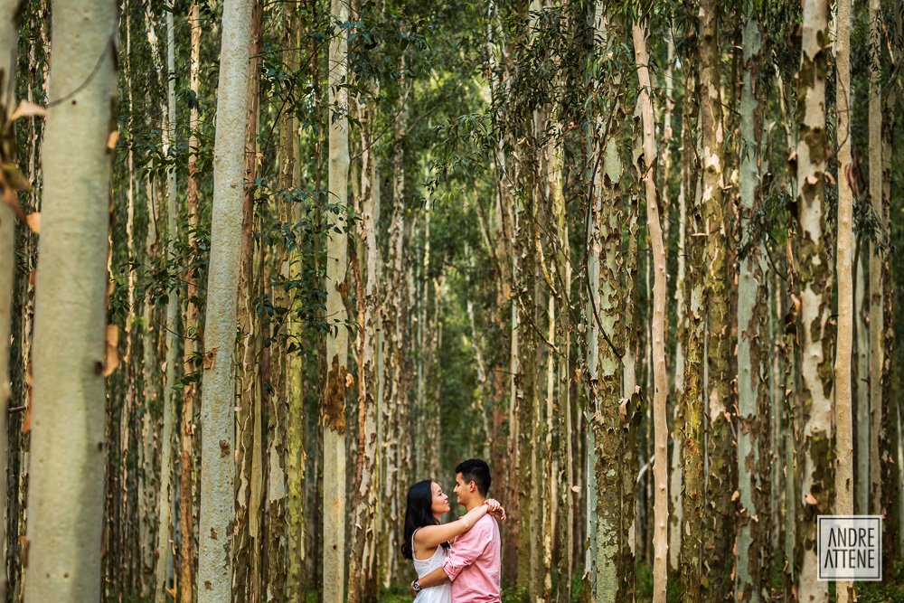 casal namorando em pre wedding fotografado por Andre Attene em Holambra - SP