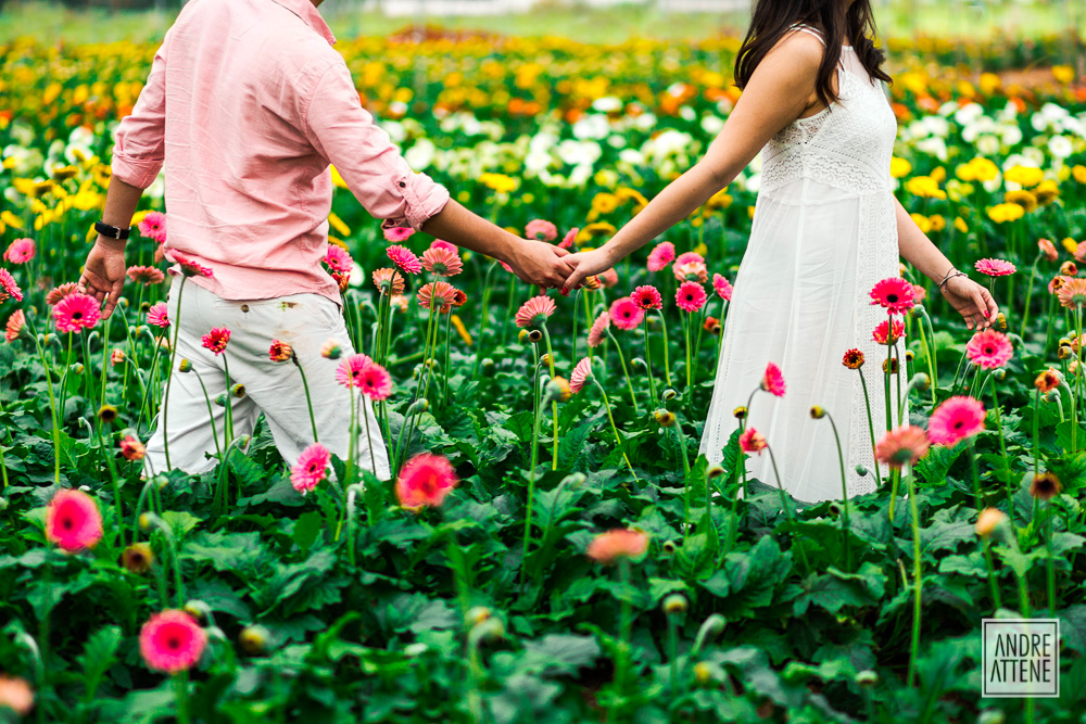 mãos dadas mostrando a união do casal em ensaio fotográfico por Andre Attene de São Paulo