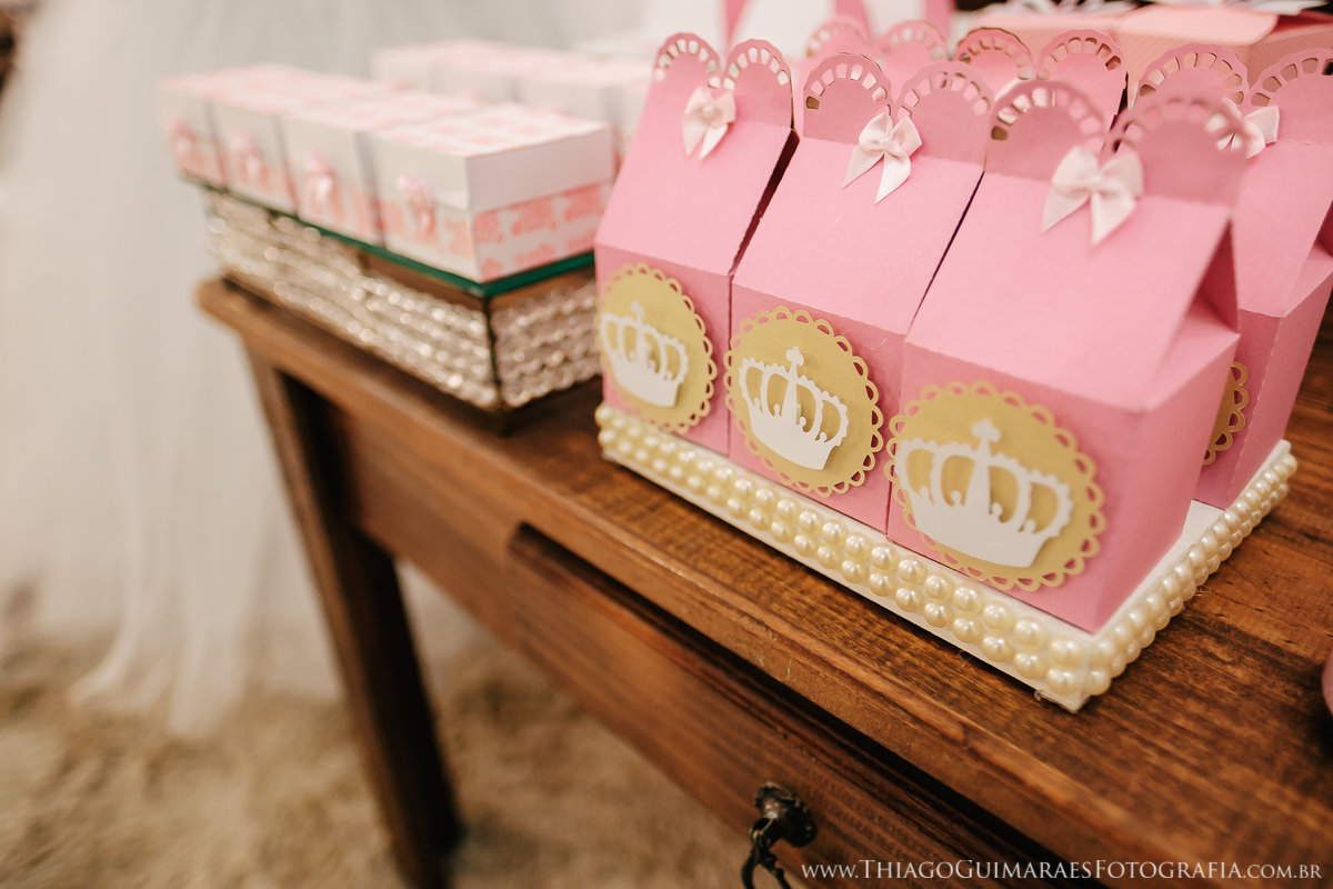 fotografia foto vídeo filmagem aniversario infantil belo horizonte contagem fotógrafo thiago guimarães