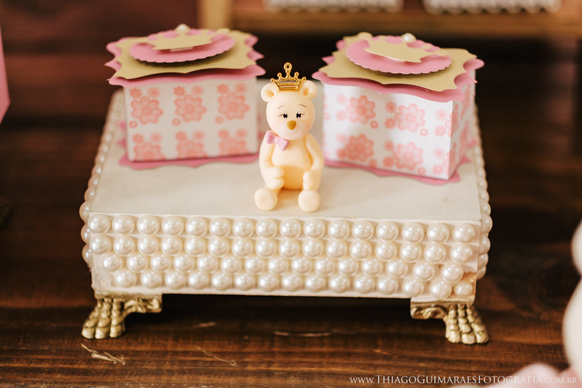 fotografia foto vídeo filmagem aniversario infantil belo horizonte contagem fotógrafo thiago guimarães