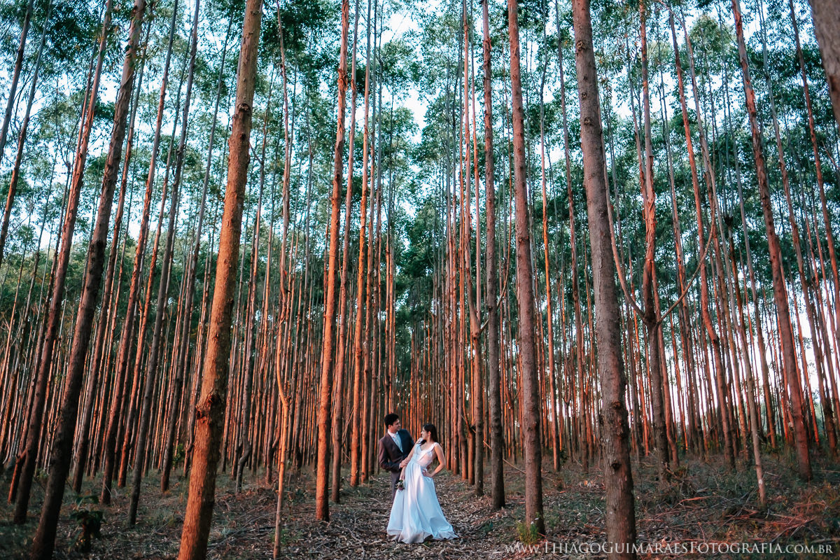 foto vídeo filmagem casando em bh fotografia casamento belo horizonte minduri são vicente andrelândia são joão del rei fotógrafo thiago guimarães ensaio externo trash the dress