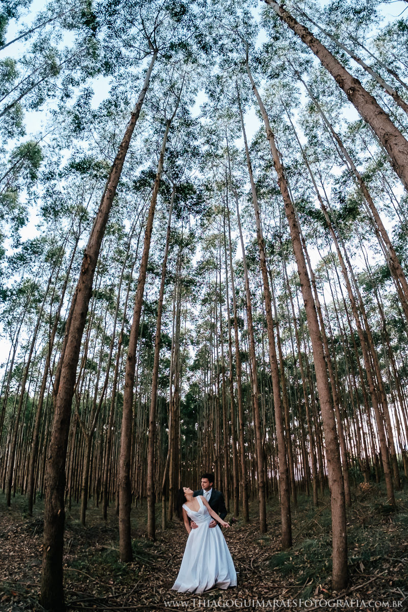 foto vídeo filmagem casando em bh fotografia casamento belo horizonte minduri são vicente andrelândia são joão del rei fotógrafo thiago guimarães ensaio externo trash the dress
