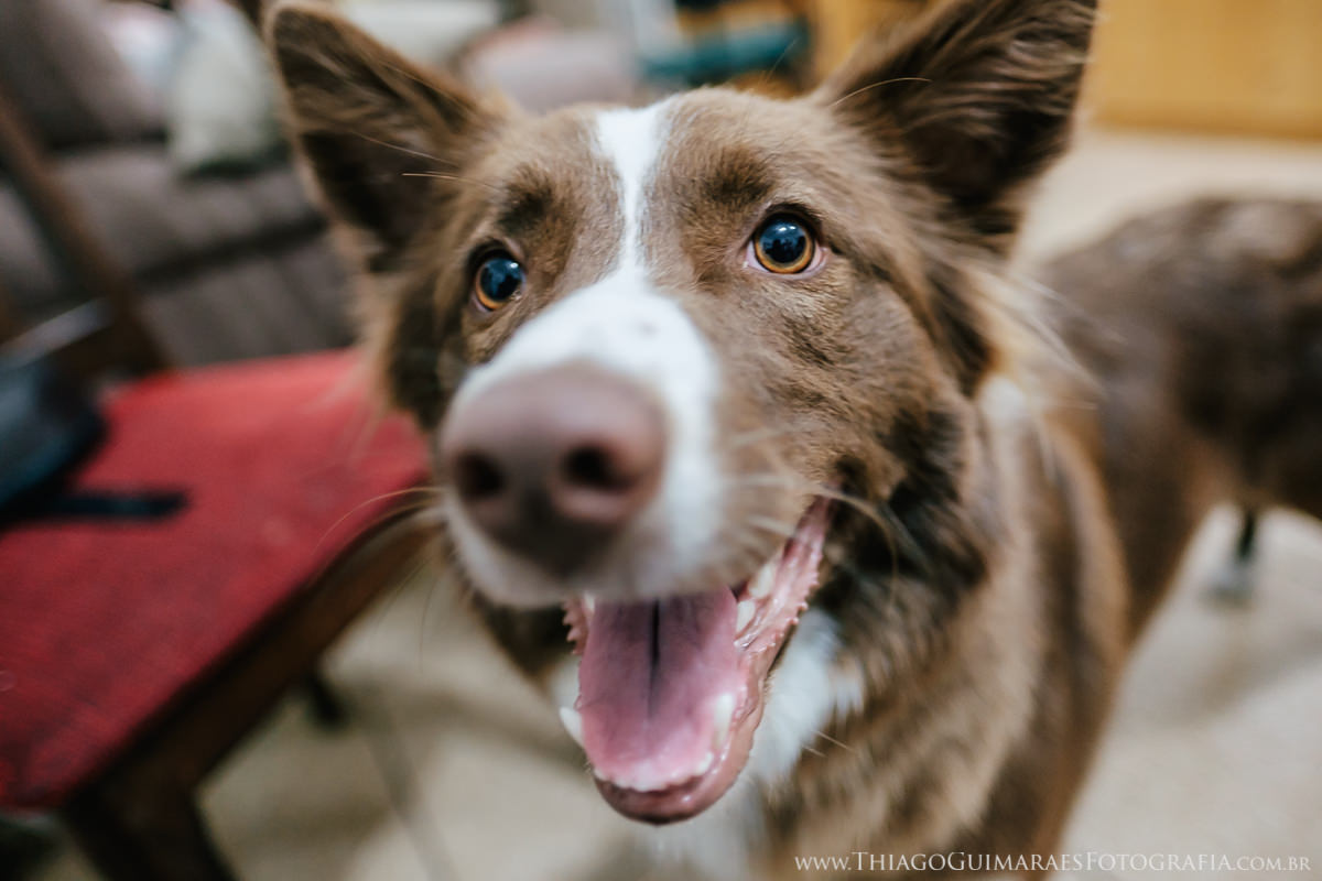 foto vídeo filmagem wedding fotografia casamento belo horizonte nova lima caravaggio viviane nilton thiago guimaraes fotografo casando em bh