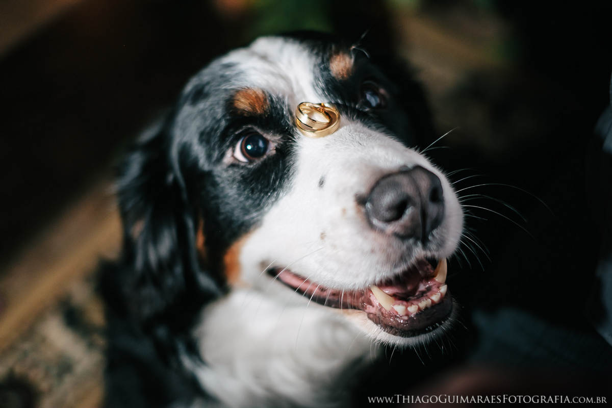 foto video filmagem fotografia noivado engagement casamento wedding belo horizonte bistro vila rica daiane eduardo thiago guimaraes fotografo casando em bh