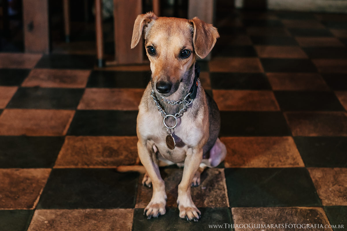 foto video filmagem fotografia noivado engagement casamento wedding belo horizonte bistro vila rica daiane eduardo thiago guimaraes fotografo casando em bh