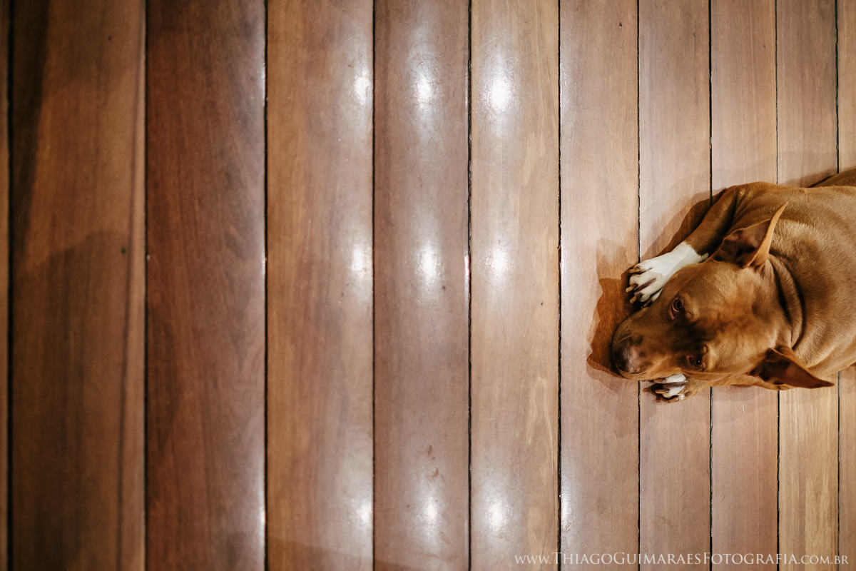 foto video filmagem fotografia casamento belo horizonte nova lima caravaggio juliana cristiano thiago guimaraes fotografo casando em bh