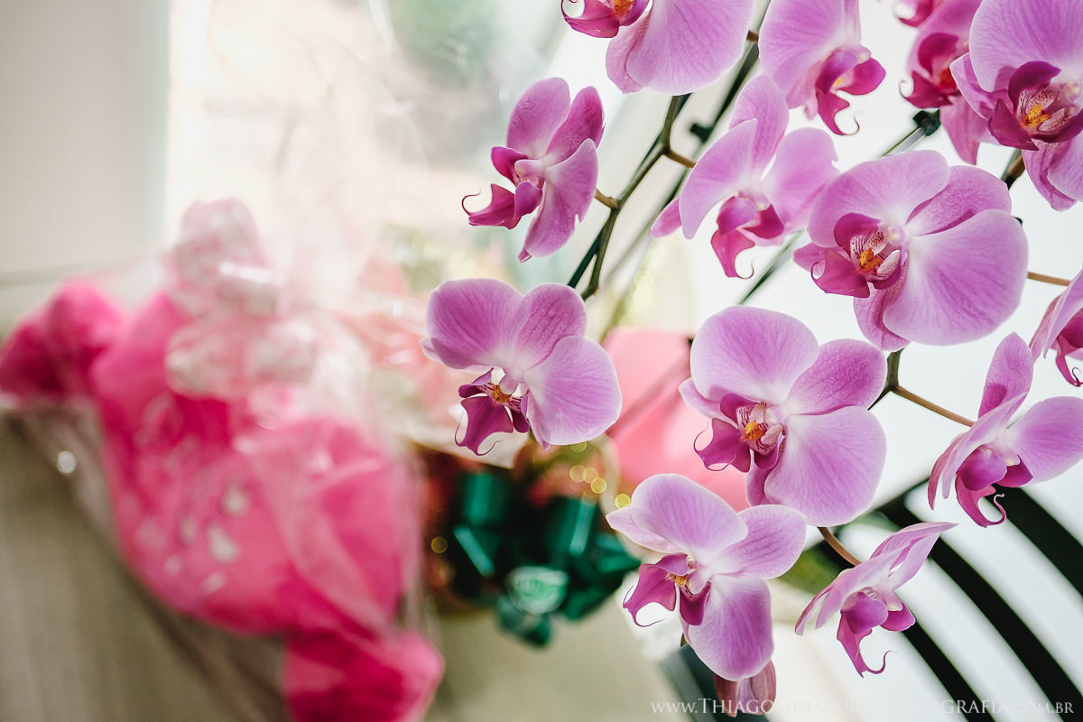 foto video filmagem fotografia casamento wedding belo horizonte lagoa santa minas gerais mg priscila flavio copa eventos thiago guimaraes fotografo casando em bh