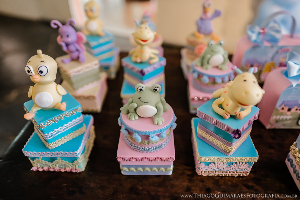 foto video filmagem fotografia aniversario infantil familia belo horizonte floresta magica minas gerais mg thiago guimaraes fotografo familia