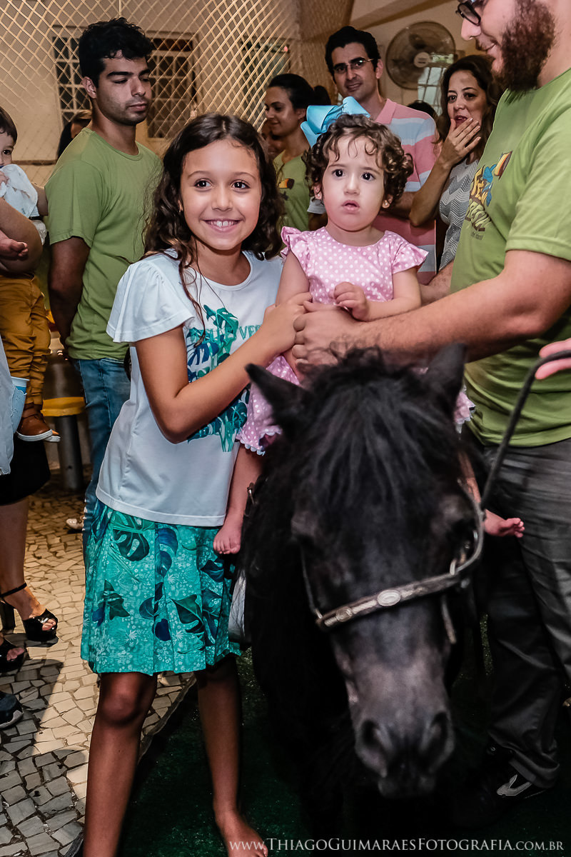 foto video filmagem fotografia aniversario infantil familia belo horizonte floresta magica minas gerais mg thiago guimaraes fotografo familia