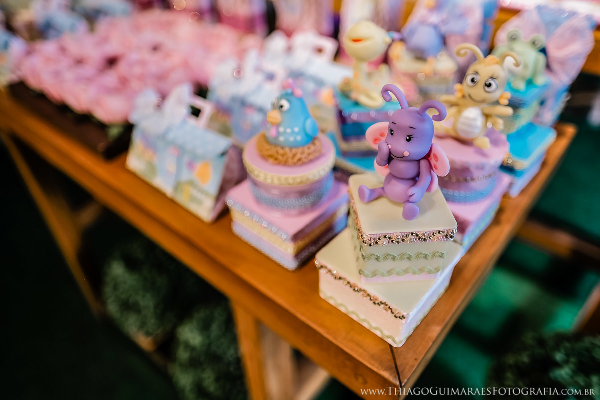 foto video filmagem fotografia aniversario infantil familia belo horizonte floresta magica minas gerais mg thiago guimaraes fotografo familia