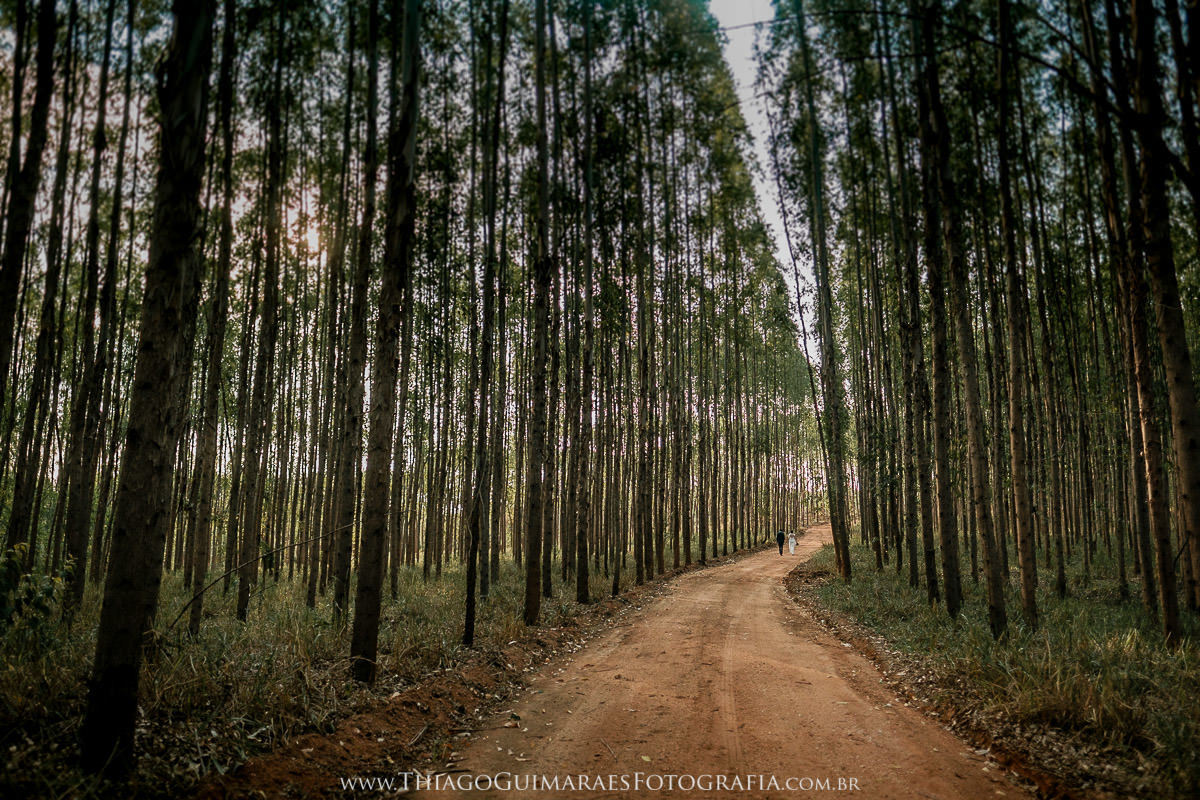 foto video filmagem ensaio externo fotografia casamento pos wedding trash the dress belo horizonte fazenda jagoara velha matozinhos minas gerais mg thiago guimaraes fotografo casando em bh