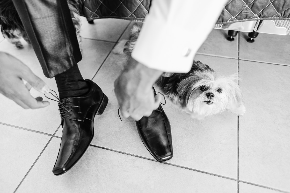 foto vídeo filmagem casando em bh fotografia casamento belo horizonte contagem fotógrafo thiago guimarães chalé pampulha