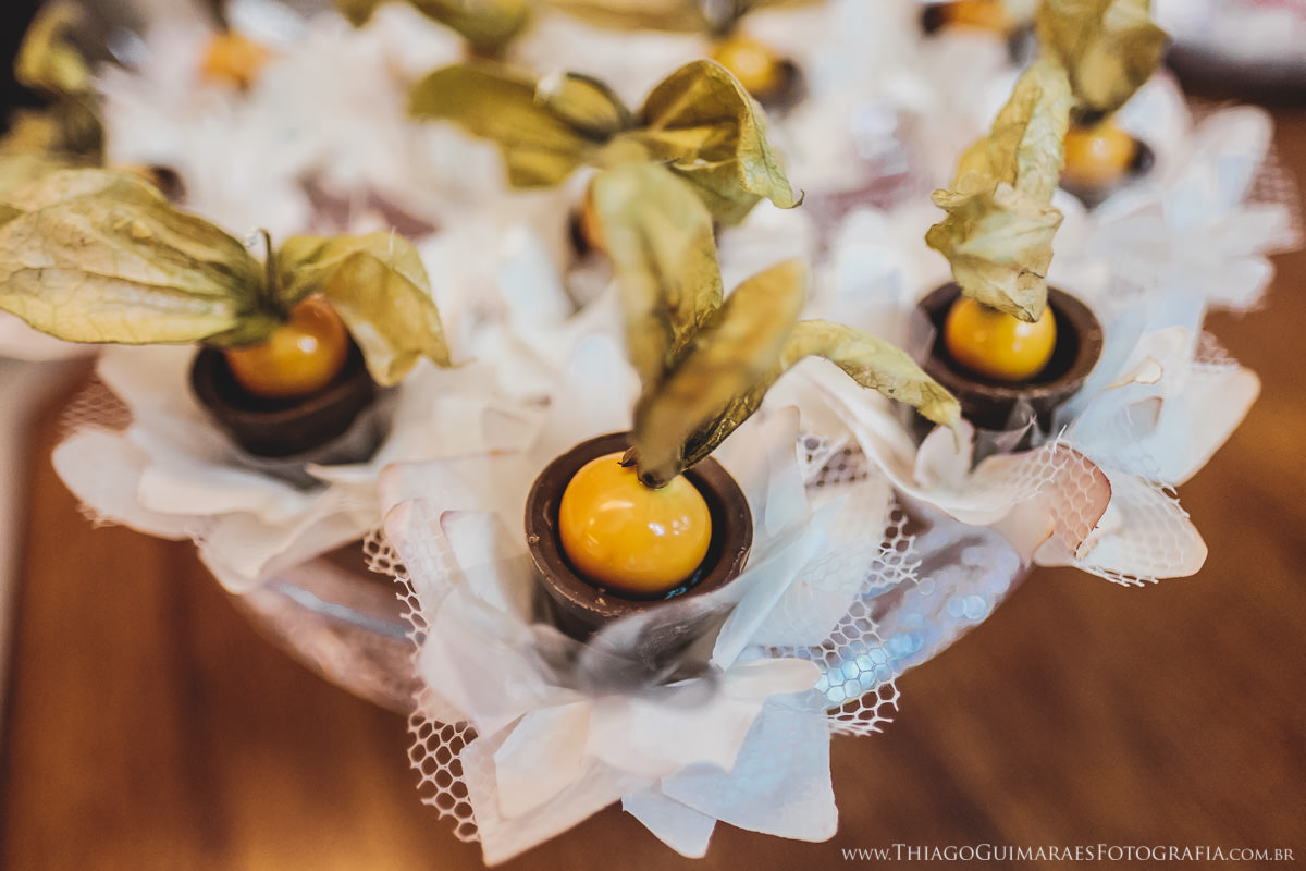 foto vídeo filmagem casando em bh fotografia casamento belo horizonte contagem fotógrafo thiago guimarães chalé pampulha