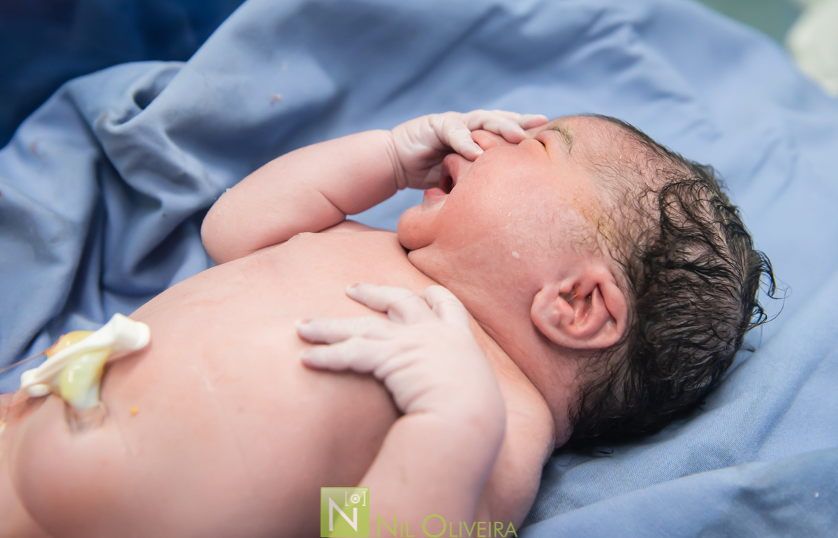 Fotógrafo de casamento Maceió, Fotógrafo Maceió, Fotografia-de-parto, parto-hap vida-maceió, parto-Maceió, parto-em-alagoas, foto-parto, parto, fotos criativas, hospital hap vida