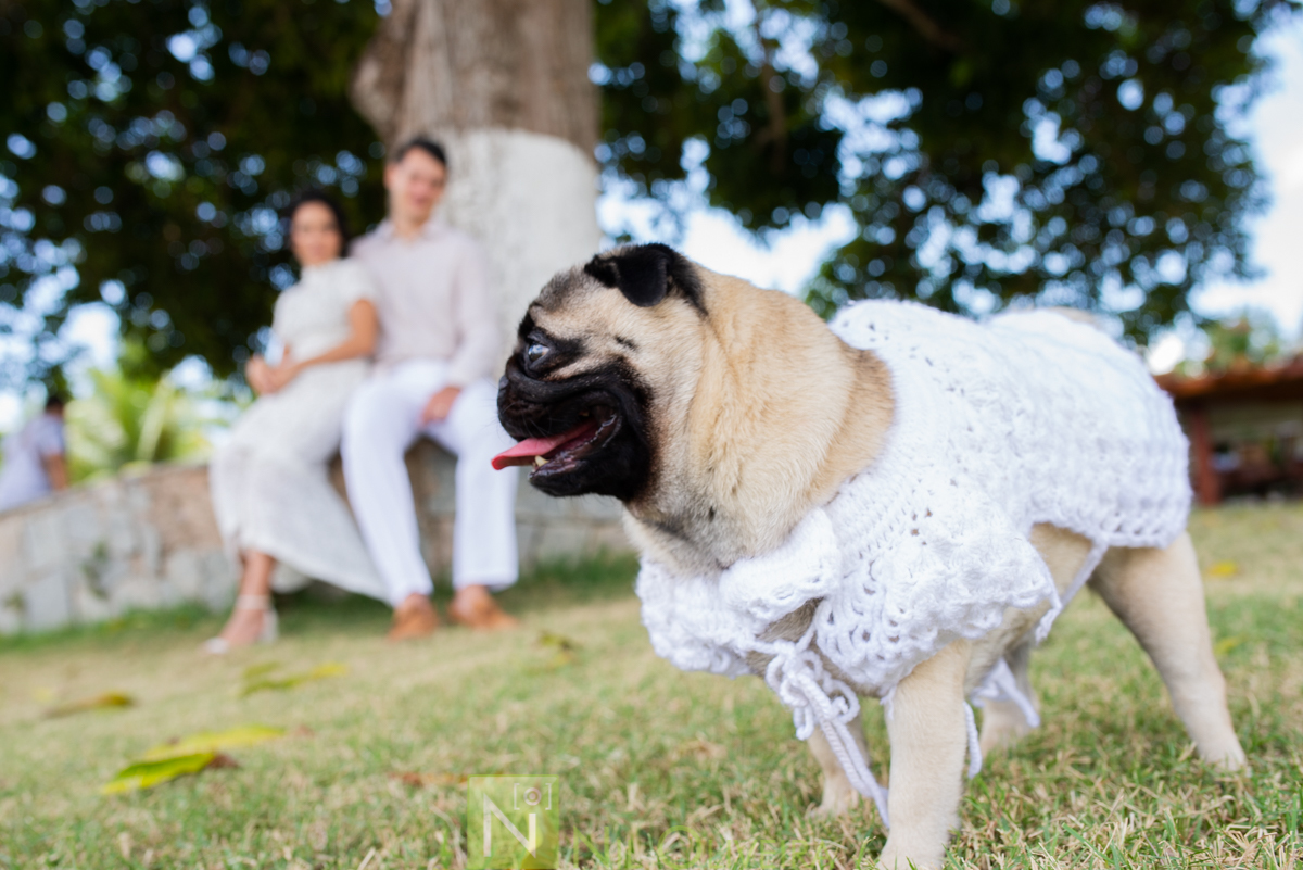 Local: @euquerosossego 
Vestido: @dita.oficial
Buquê: @cetin.acessoriosdenoiva
Bolo e doces: @brigadeiro.e.cia
Decoração e lembrancinhas : @ateliecriarte_