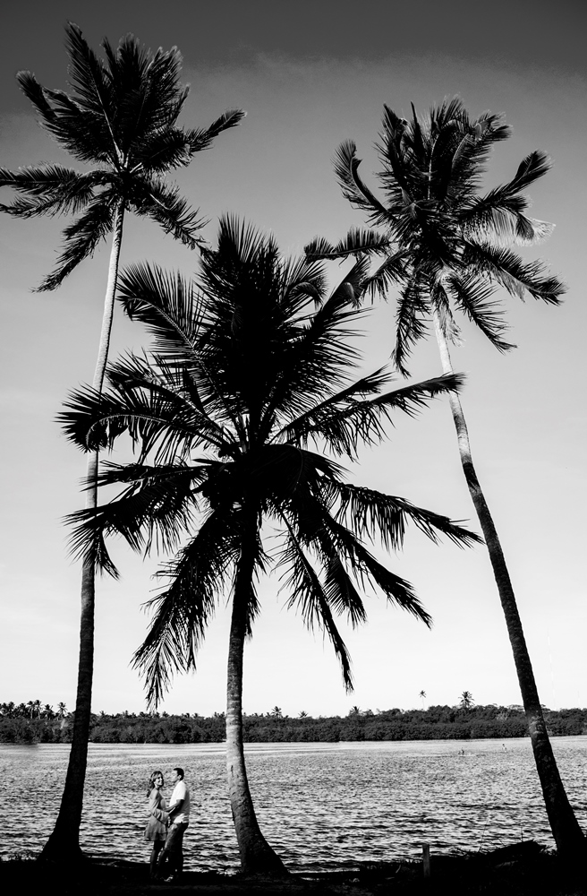 Fotógrafo de casamento Maceió, Fotógrafo de casamento alagoas, Fotógrafo de casamento, casamento, Fotógrafo de casamento Brasil, Fotógrafo de casamento Brazil, casamento na praia, casamento em fazenda, casamento M