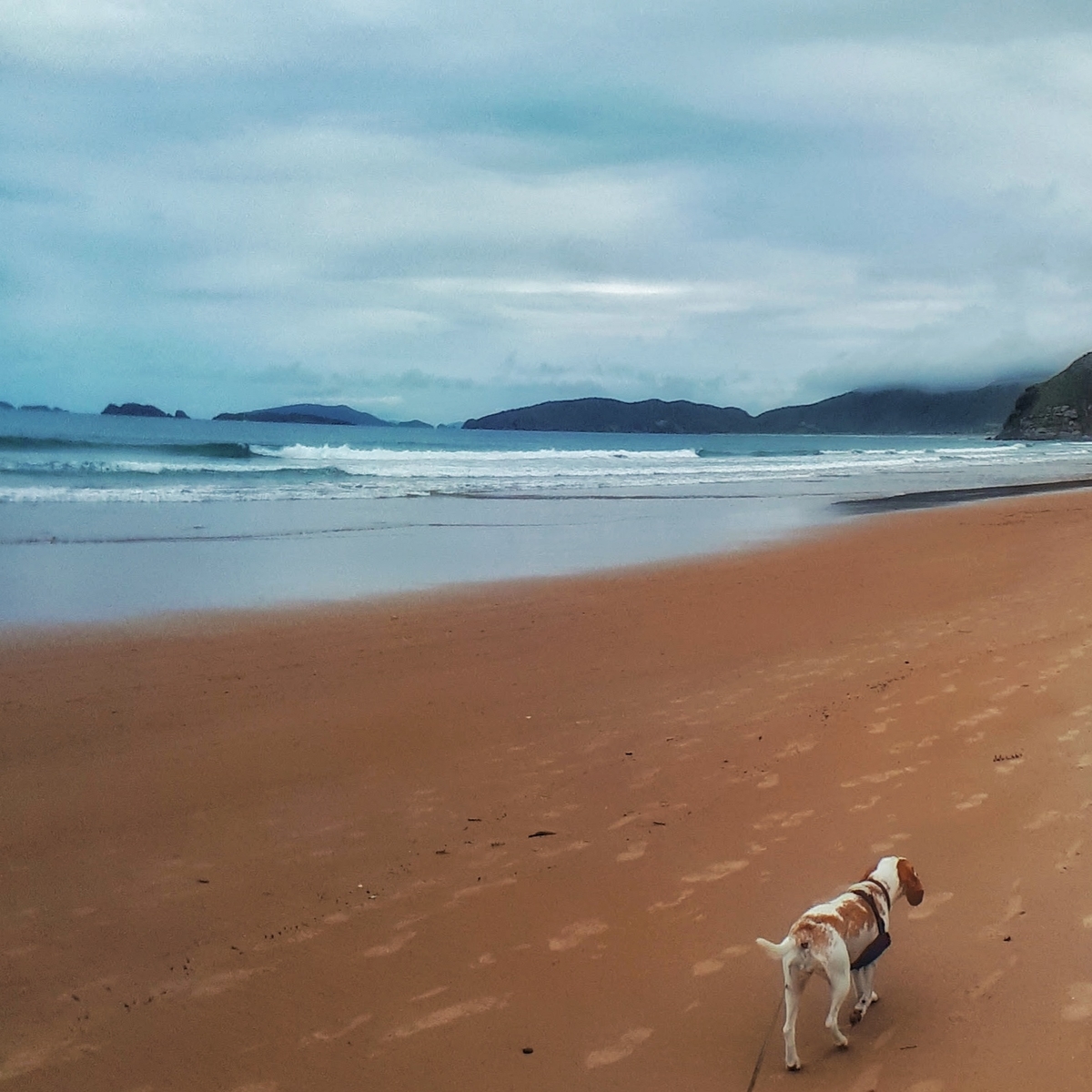 Canto direito de Geribá