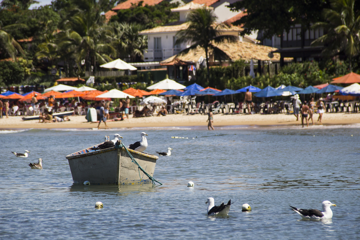 Gaivotas na Ferradurinha