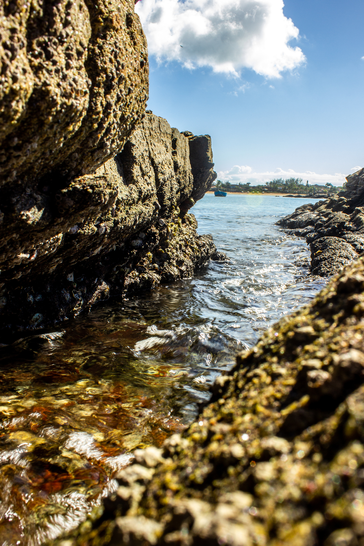 Fotos da Praia da Ferradura em Búzios