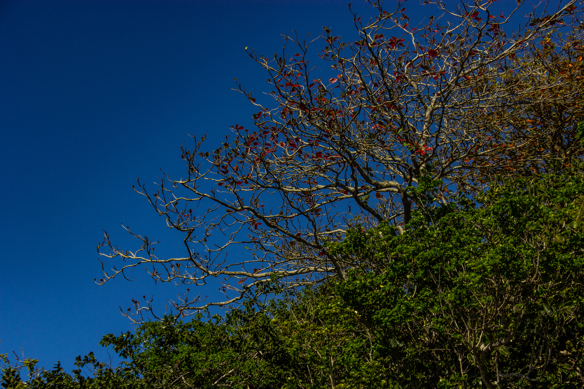 Fotos da Praia da Ferradura em Búzios