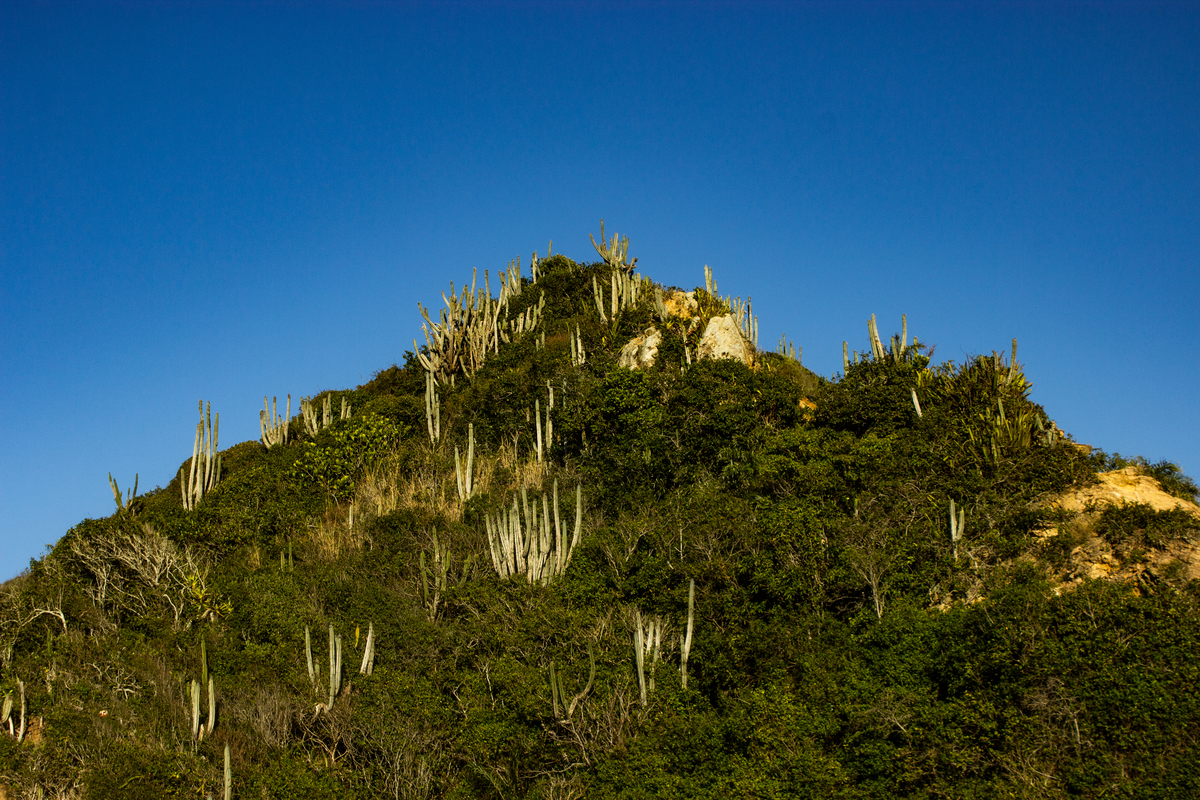 Praia da Marina Búzios