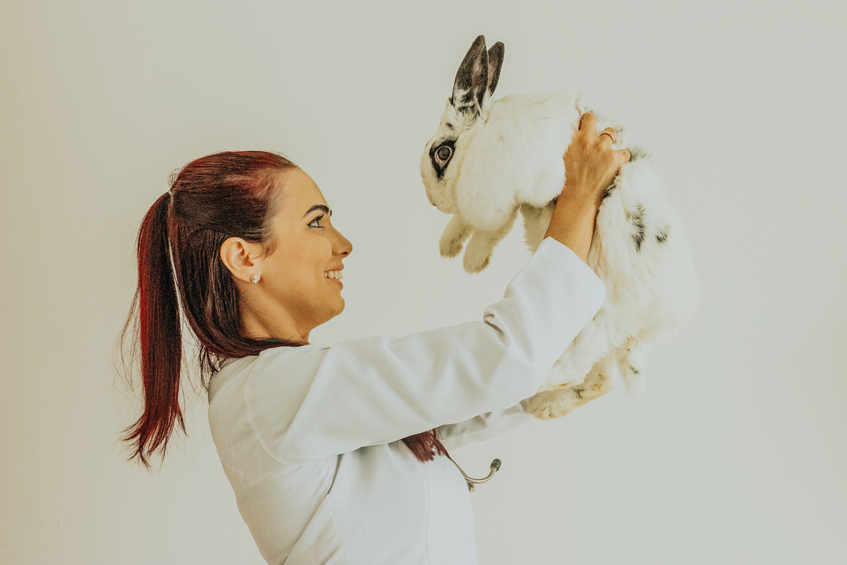 Retrato de Posicionamento de Imagem