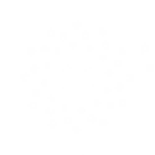Logotipo de Nelson Campos