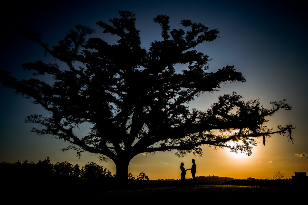 book de gestante com fotografia de arvore e casal em silhueta