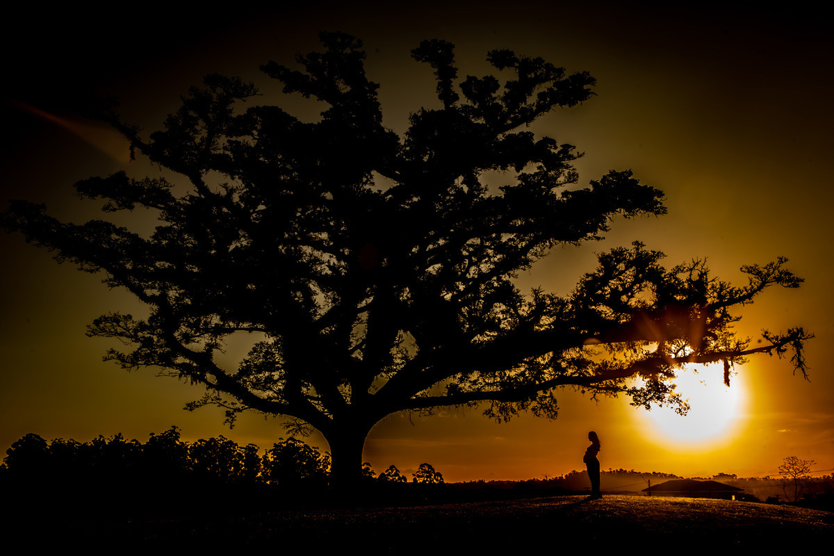 book de gestante com fotografia de arvore e gestante em silhueta